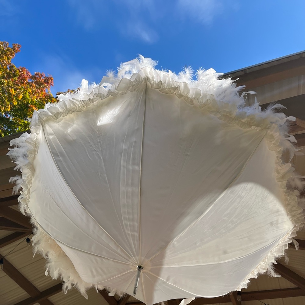 Feather umbrella